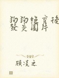 狗狗绝育后伤口发炎图片