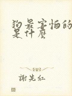 狗最害怕的声音是什么