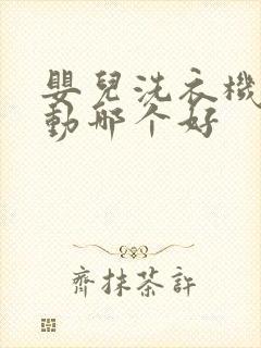 婴儿洗衣机全自动哪个好