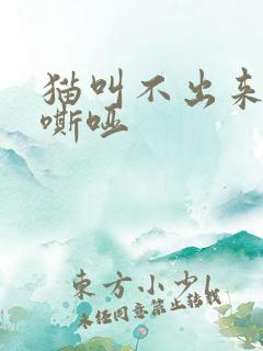 猫叫不出来声音嘶哑