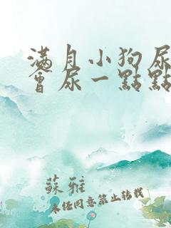 满月小狗尿频一会尿一点点