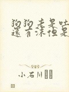 狗狗老是吐黄水还有沫但是精神很好