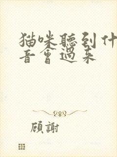 猫咪听到什么声音会过来