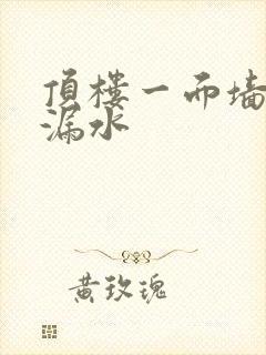 顶楼一面墙下雨漏水