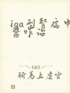 iga型肾病中医咋治