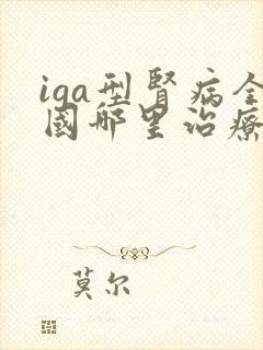 iga型肾病全国哪里治疗好