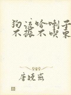 狗流哈喇子精神不振不吃东西