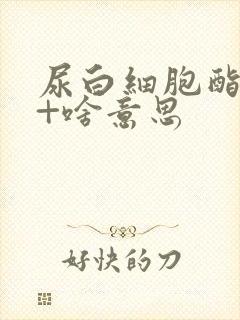 尿白细胞酯酶1+啥意思