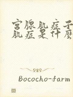 宫腺肌症子宫腺肌症是什么