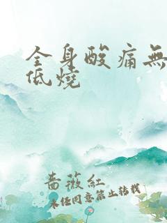 全身酸痛无力发低烧