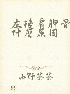 左后肩胛骨疼是什么原因