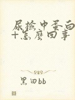 尿检中蛋白质1+怎么回事