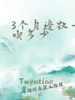 3个月边牧一天吃多少