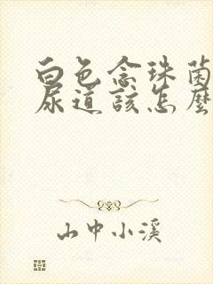 白色念珠菌感染尿道该怎么治疗?