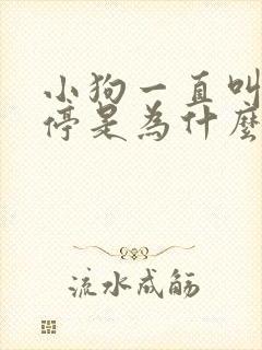 小狗一直叫个不停是为什么