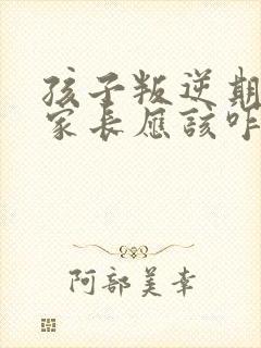 孩子叛逆期我们家长应该咋办