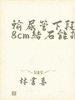 输尿管下段0.8cm结石能排出吗