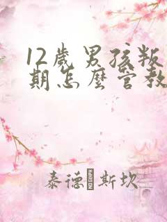 12岁男孩叛逆期怎么管教孩