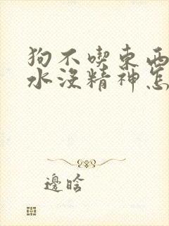 狗不吃东西只喝水没精神怎么办