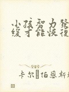 小孩智力发育迟缓才能恢复正常吗