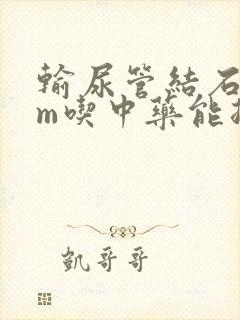 输尿管结石6mm吃中药能排出来吗