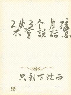 2岁3个月孩子不会说话怎么办