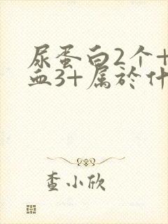 尿蛋白2个+隐血3+属于什么病