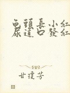 龟头长小红点 尿道口发红