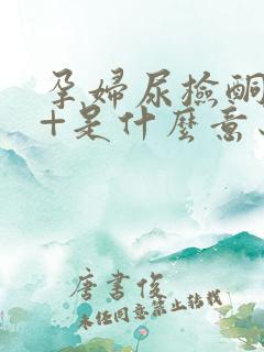 孕妇尿检酮体1+是什么意思