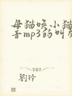 母猫唤小猫的声音mp3的叫声