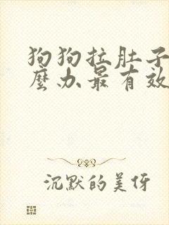 狗狗拉肚子了怎么办最有效