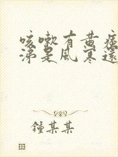 咳嗽有黄痰流鼻涕是风寒还是风热