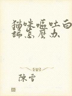 猫咪呕吐白沫拉稀怎么办