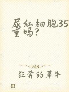 尿红细胞35严重吗?