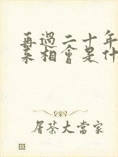 再过二十年我们来相会是什么歌