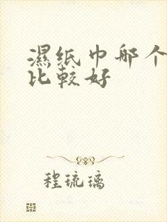 湿纸巾哪个牌子比较好