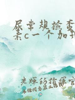 尿常规检查维生素c一个加号什么意思