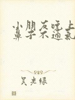 小朋友晚上睡觉鼻子不通气白天就好了