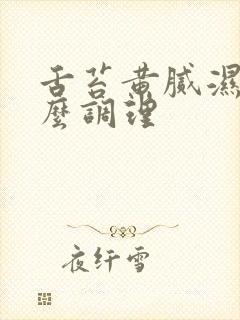 舌苔黄腻湿热怎么调理