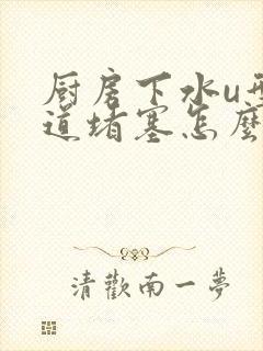 厨房下水u型管道堵塞怎么办?