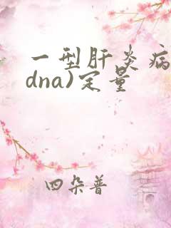 一型肝炎病毒(dna)定量