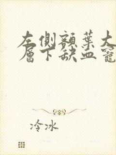 左侧额叶大脑皮层下缺血灶