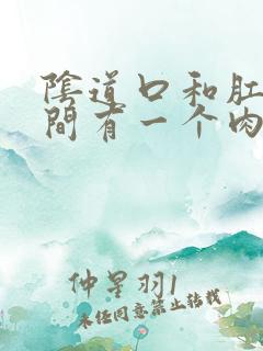 阴道口和肛门之间有一个肉疙瘩