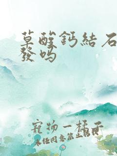 草酸钙结石会复发吗