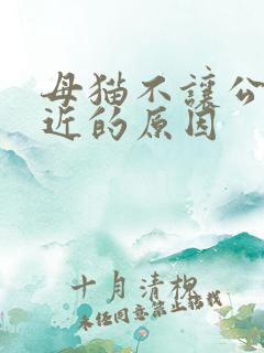 母猫不让公猫靠近的原因