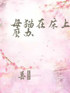 母猫在床上尿怎么办