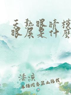 天热眼睛模糊有眼屎是什么原因引起的