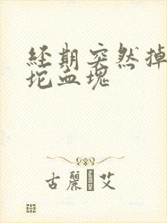 经期突然掉一大坨血块