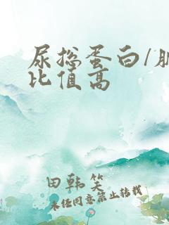 尿总蛋白/肌酐比值高