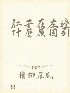 肚子在左边疼是什么原因引起的